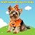 Halloween Books For Kids by Glenn Roswell Halloween Books For Kids by Glenn Roswell