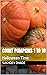 Count Pumpkins 1 to 10 by Sukhdev Dhade