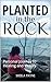 Planted in the Rock: Person...
