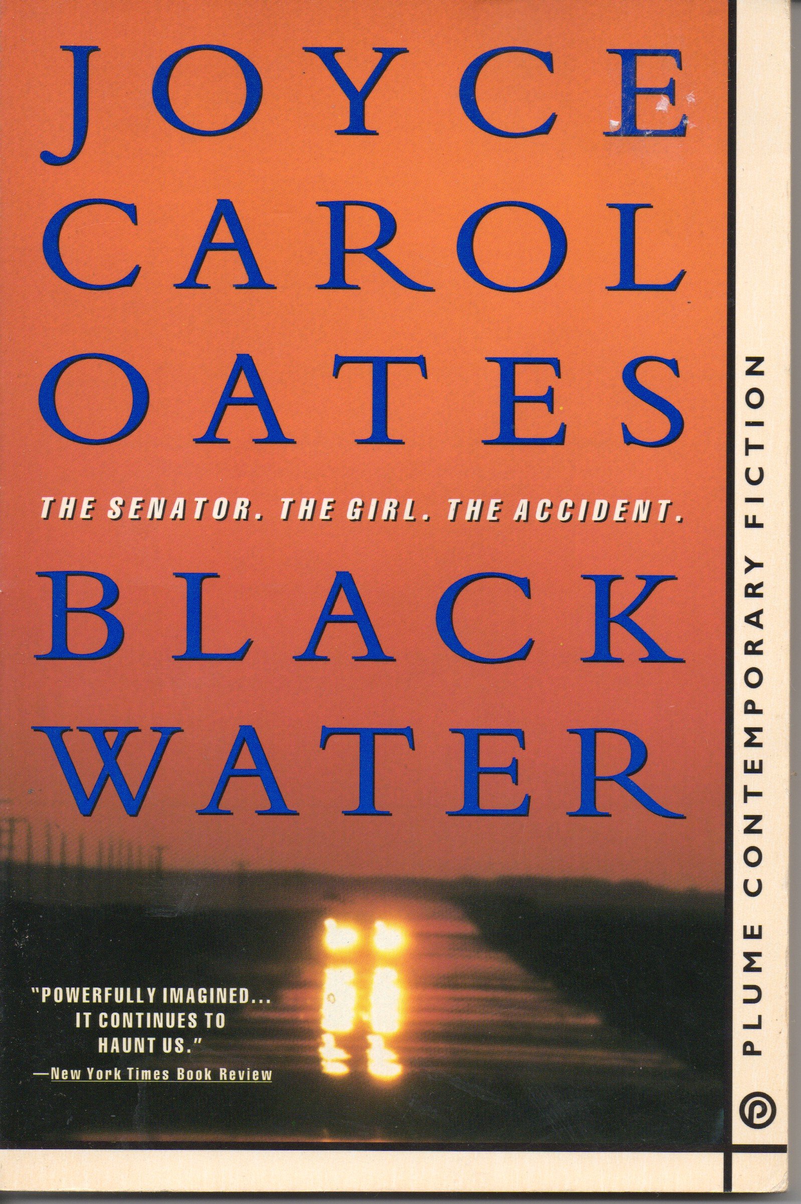 Black Water (The Senator, The Girl, The Accident) Fiction