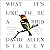 What It's Like to Be a Bird: From Flying to Nesting, Eating to Singing - What Birds Are Doing, and Why (Sibley Guides)