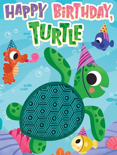 Little Hippo Books Happy Birthday Turtle I Ocean Children's Books Ages 1-3 | Touch and Feel Books for Toddlers 1-3 & Baby Books | Best Kids Books and ... Sensory Board Books for Baby & Toddler Time) (Board Book)