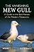 Vanishing Mew Gull: A Guide...