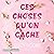 Ces choses qu'on cache (Knockemout #2)