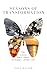Seasons of Transformation by Tony  Weaver