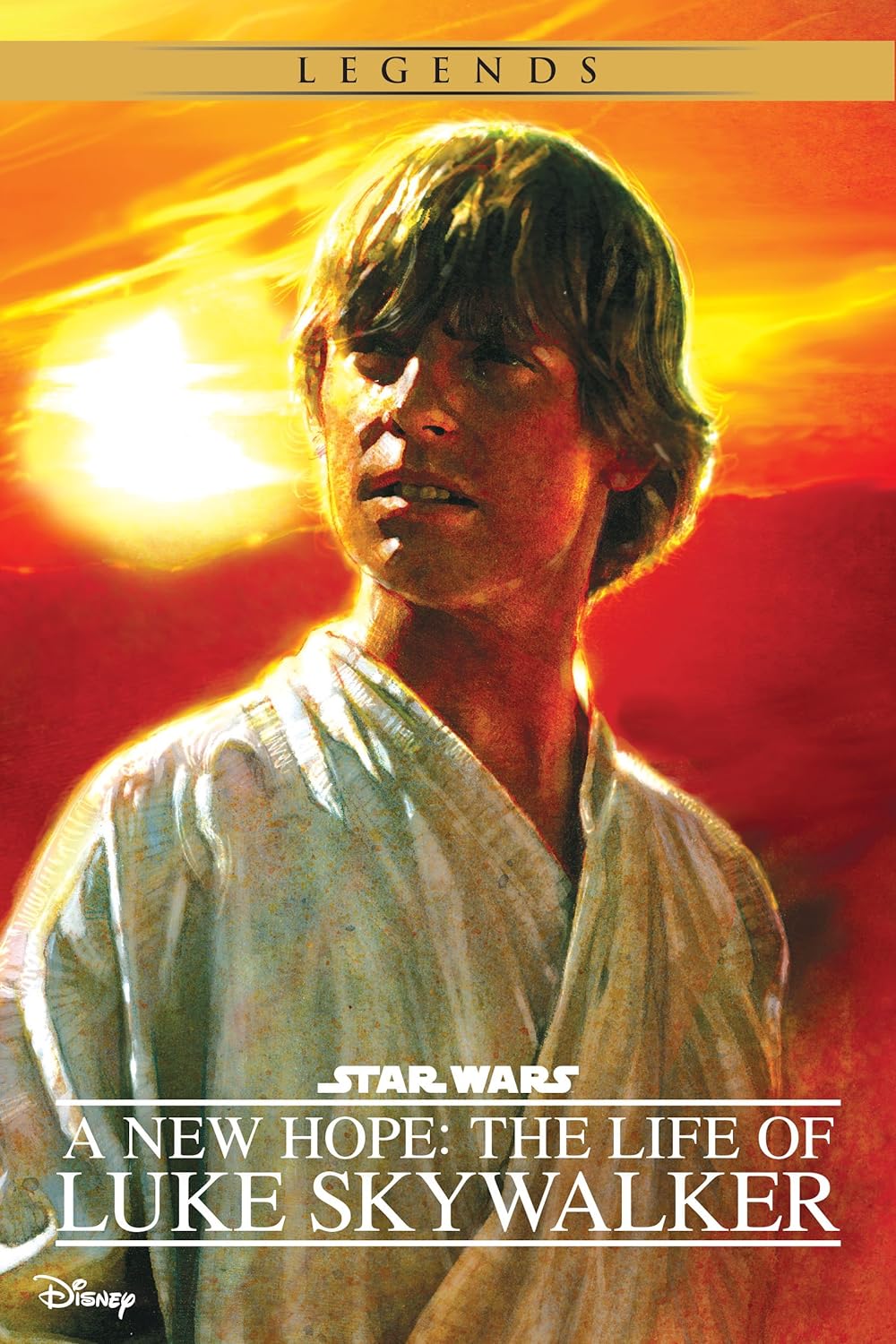 A New Hope: The Life of Luke Skywalker (Star Wars Biographies, #3)