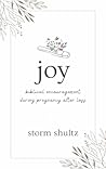 joy: biblical encouragement during pregnancy after loss
