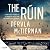 The Ruin: A Cormac Reilly Novel