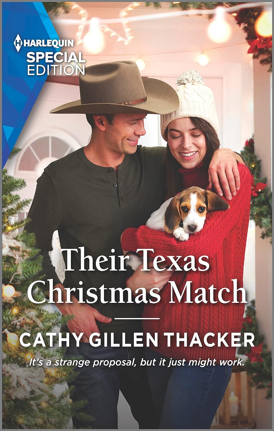 Their Texas Christmas Match (Lockharts Lost & Found #7)