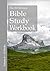 The 20-Minute Bible Study Workbook - Volume 6 by J. A. Marucci