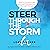Steer Through the Storm