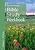 The 20-Minute Bible Study W...
