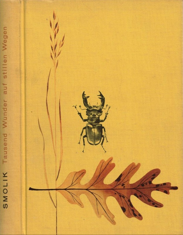 Tausend Wunder auf stillen Wegen. Ein Jahreszeitenbuch.