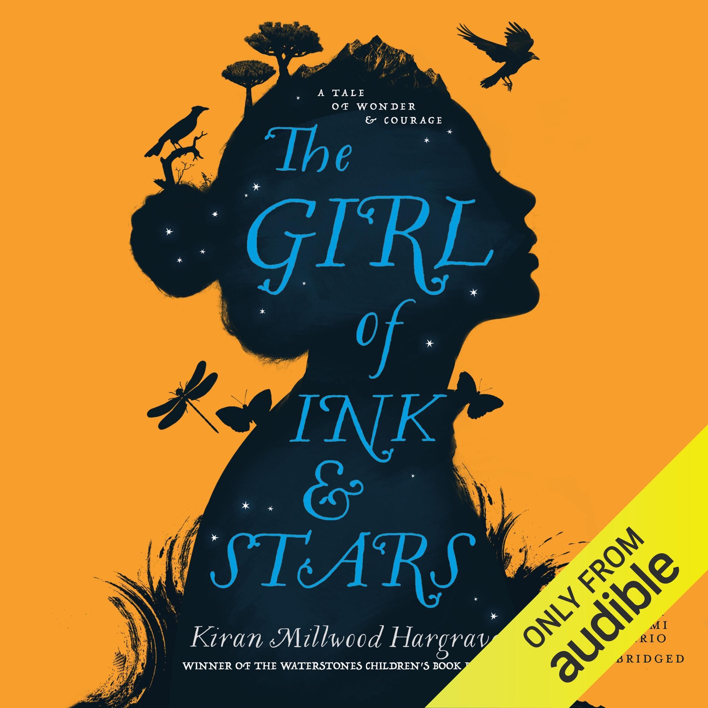 The Girl of Ink and Stars