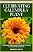 CULTIVATING CALENDULA PLANT...