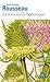 Lettres sur la botanique (French Edition)
