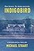 Indigobird