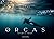 Ørcas