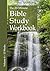 The 20-Minute Bible Study Workbook - Volume 4 by J. A. Marucci