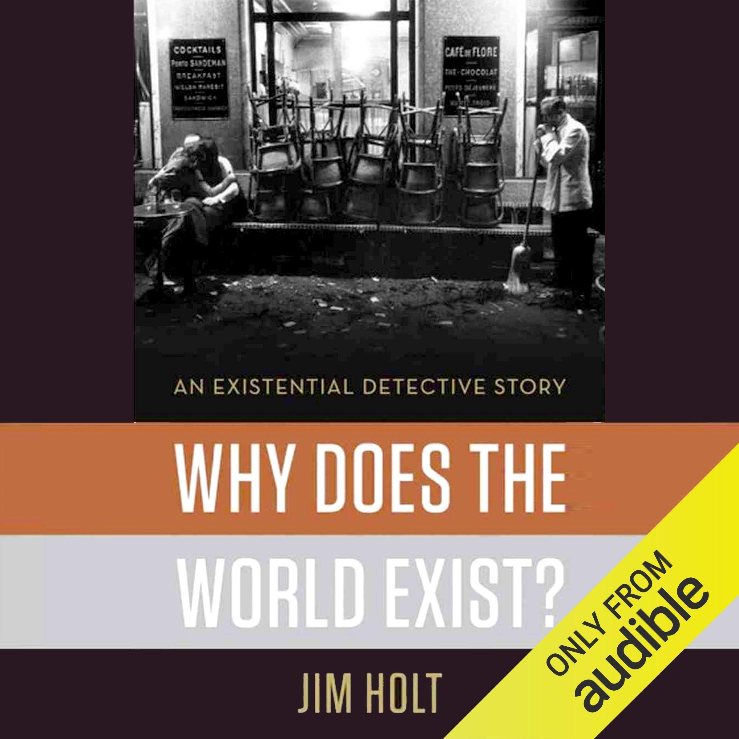 Why Does the World Exist?: An Existential Detective Story