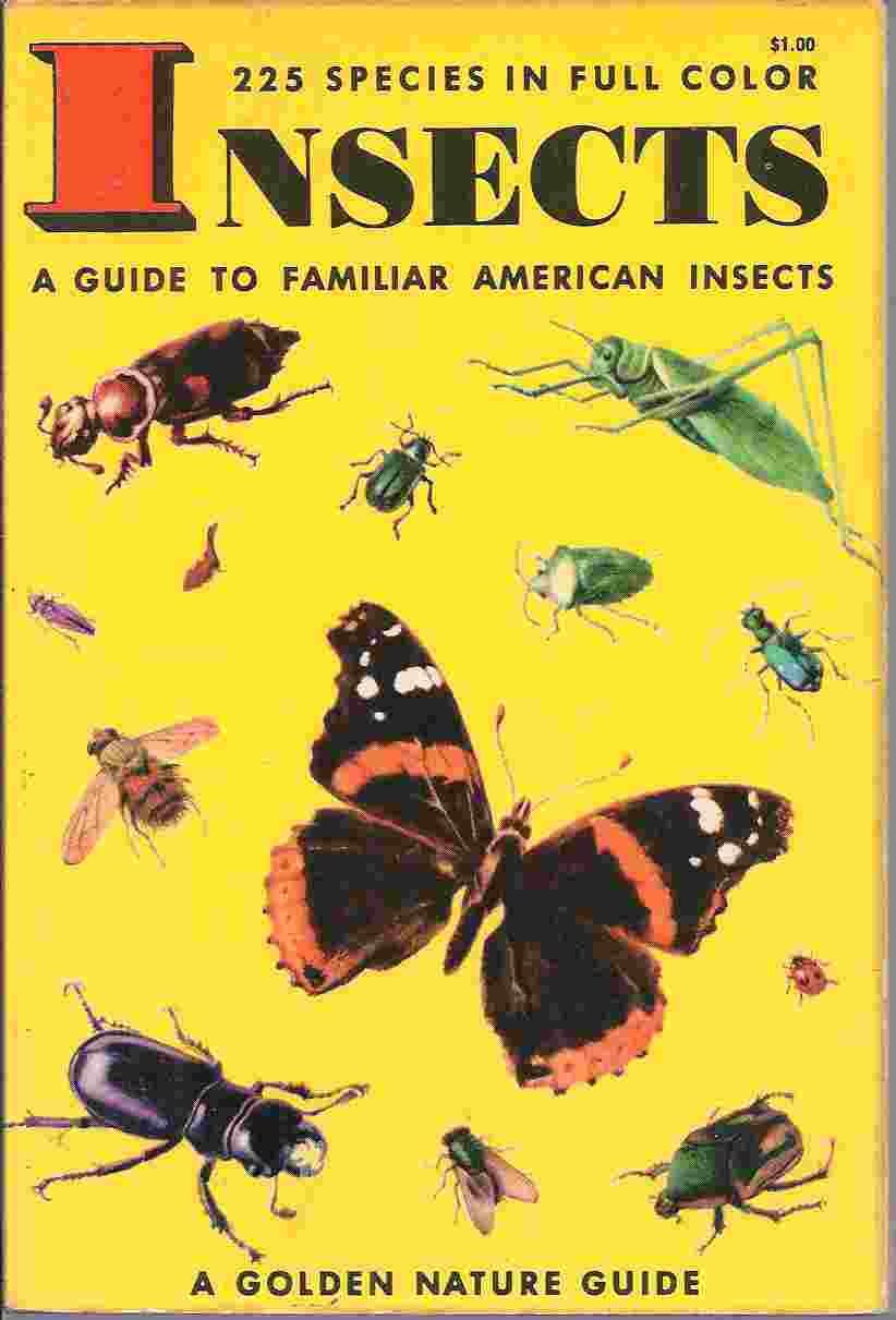 Insects; a Guide to Familiar American Insects (Paperback)