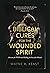 Biblical Cures for the Wounded Spirit: Answers for PTSD and Healing the Invisible Wound