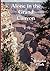 Alone in the Grand Canyon: An Account of the 1970s Geological Exploration of the Inner Gorge of the Grand Canyon (Colour Edition)