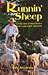 Runnin' Sheep