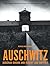 Auschwitz by Deb?rah Dwork (2002-04-17)