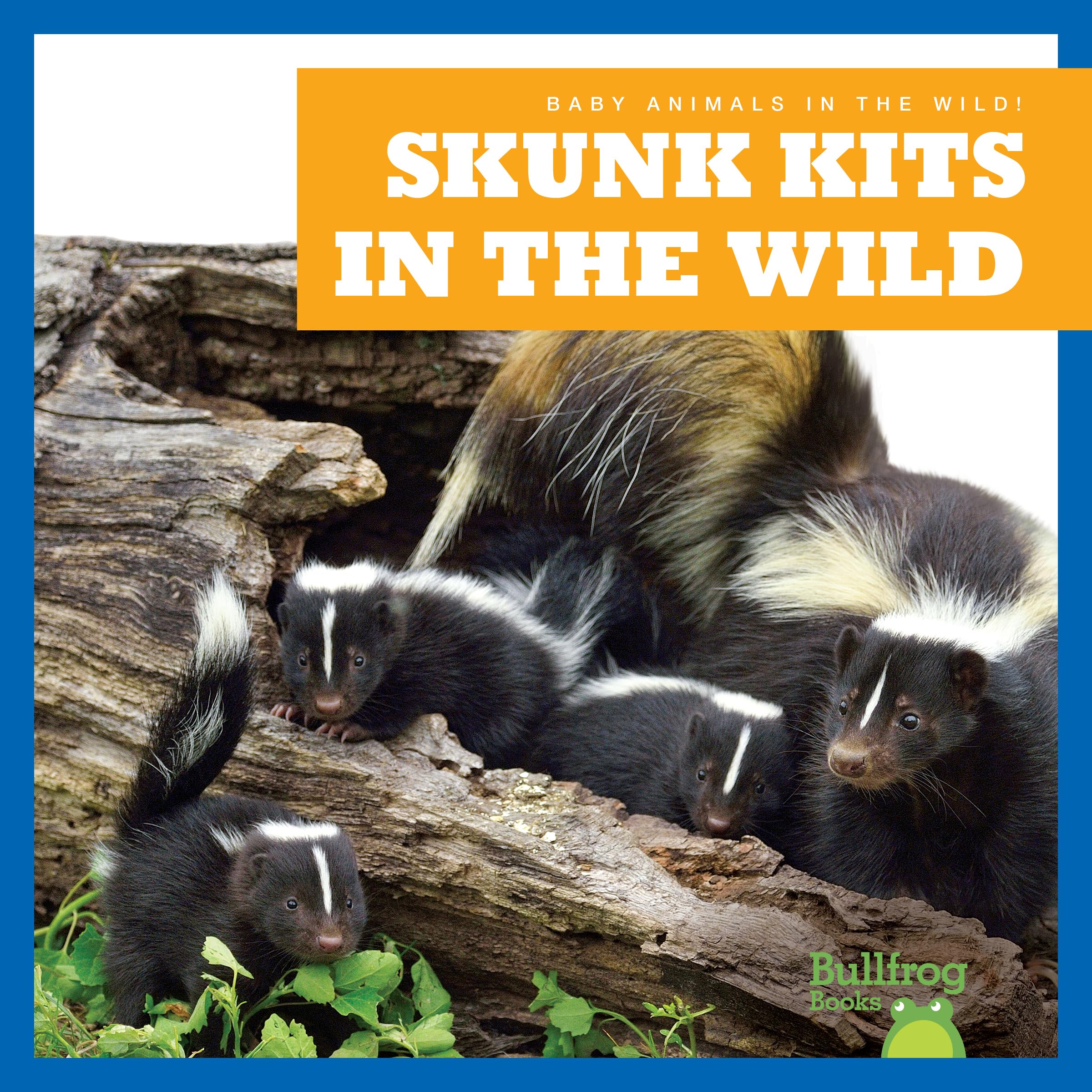 Skunk Kits in the Wild (Bullfrog Books: Baby Animals in the Wild!)