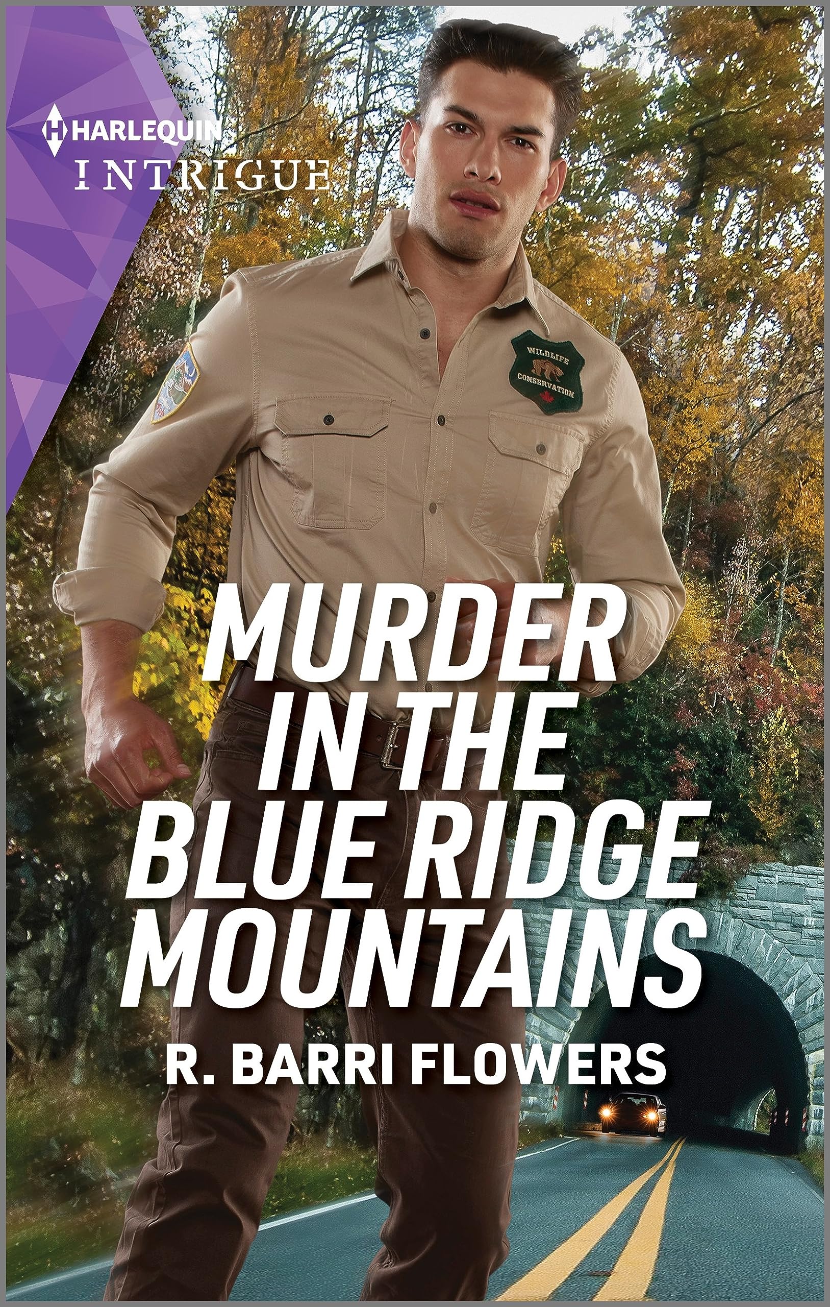 Murder in the Blue Ridge Mountains (The Lynleys of Law Enforcement #3)