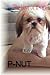 [(P-Nut - The Love of a Dog...