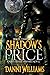Shadow's Price