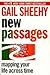 NEW PASSAGES