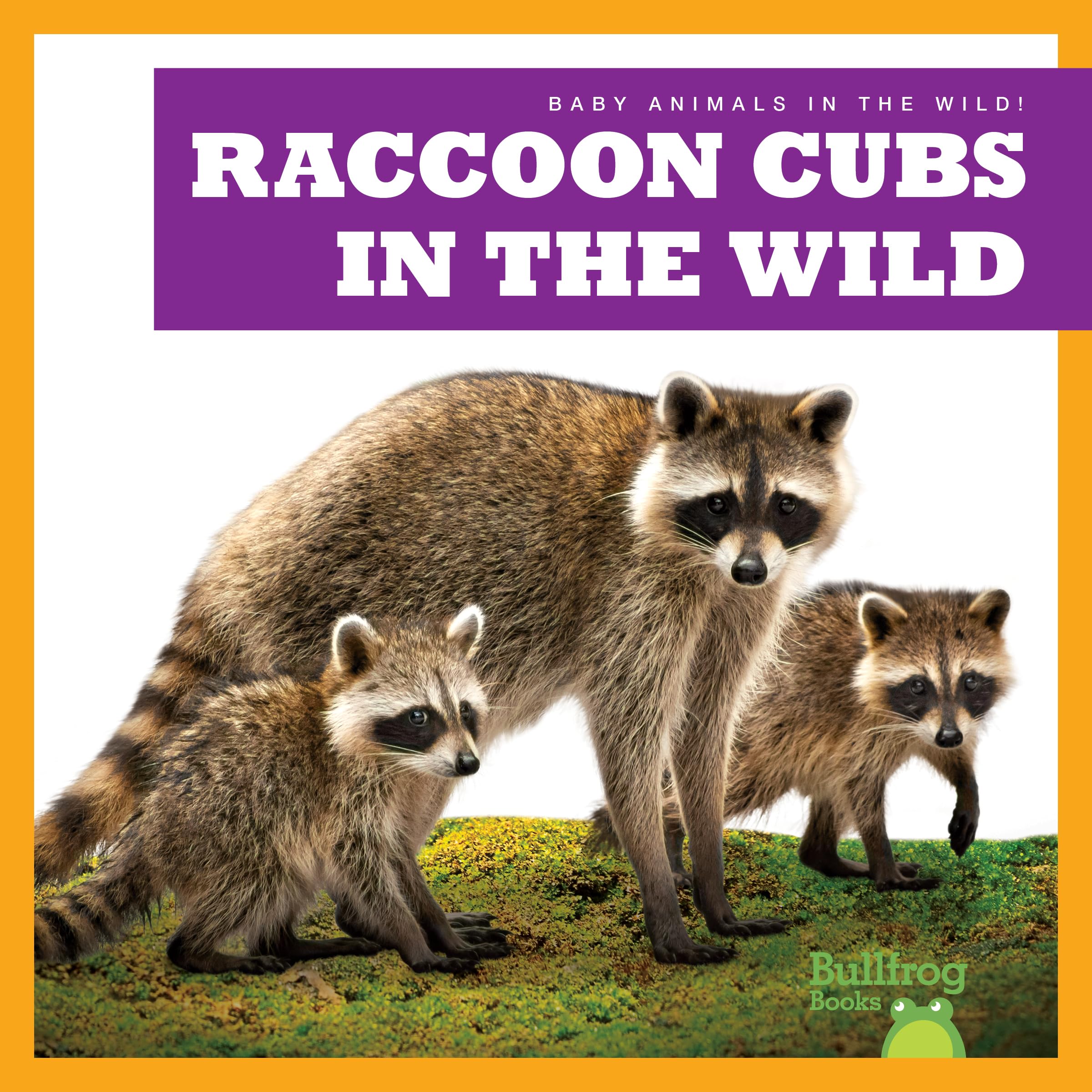 Raccoon Cubs in the Wild (Bullfrog Books: Baby Animals in the Wild!)