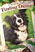 Finding Danny by Linzi Alex Glass (2010-05-11)