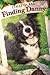 Finding Danny by Linzi Alex Glass (2010-05-11)