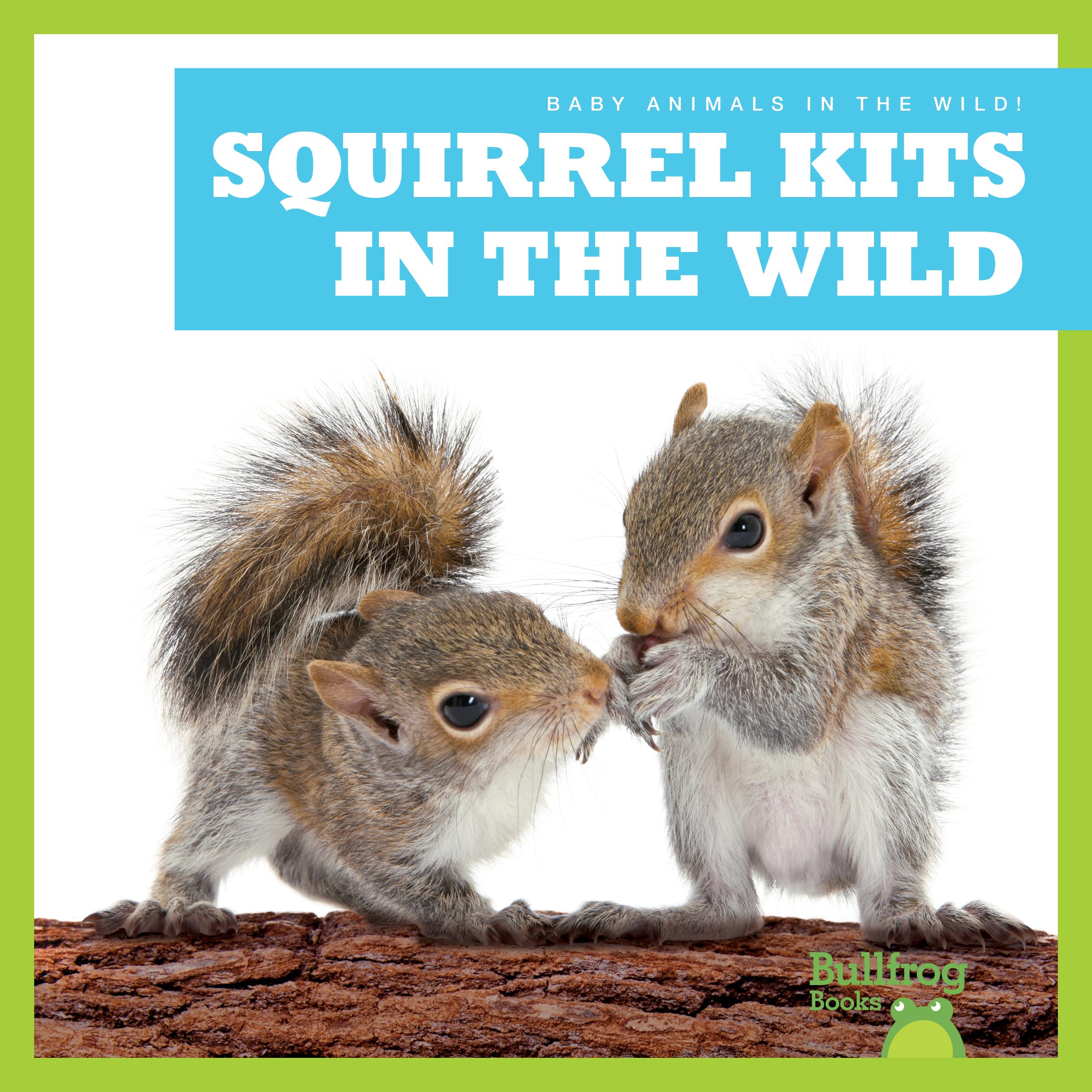 Squirrel Kits in the Wild (Bullfrog Books: Baby Animals in the Wild!)