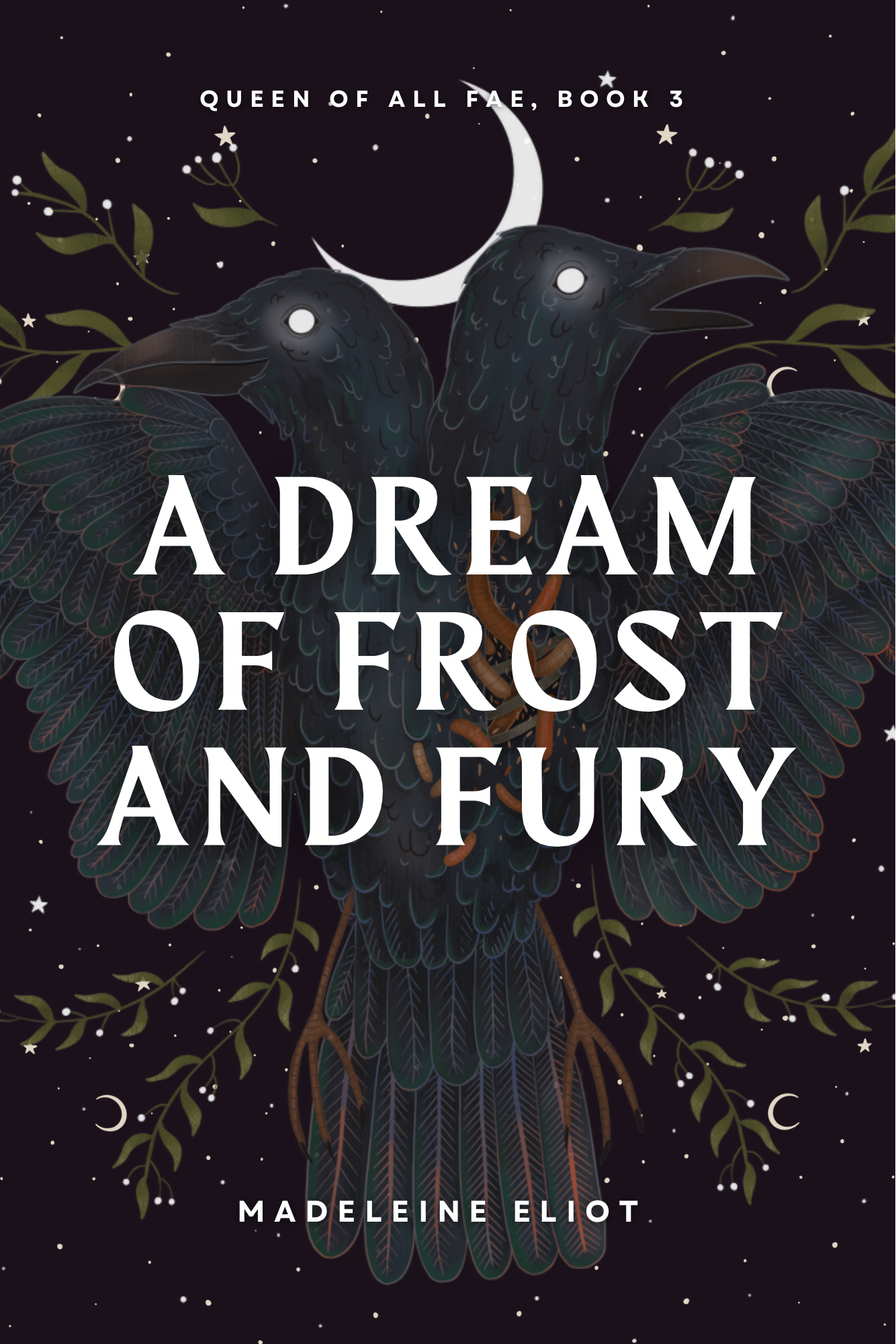 A Dream of Frost and Fury (Queen of All Fae, #3)