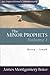 The Minor Prophets: Hosea?Jonah: Volume 1 (Expositional Commentary) by James Montgomery Boice (1-May-2006) Paperback