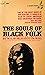 The Souls of Black Folk