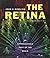 The Retina: An Approachable Part of the Brain, Revised Edition Revised edition by Dowling, John E. (2012) Hardcover
