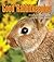 Good Rabbitkeeping: A Comprehensive Guide to All Things Rabbit (Good Petkeeping)