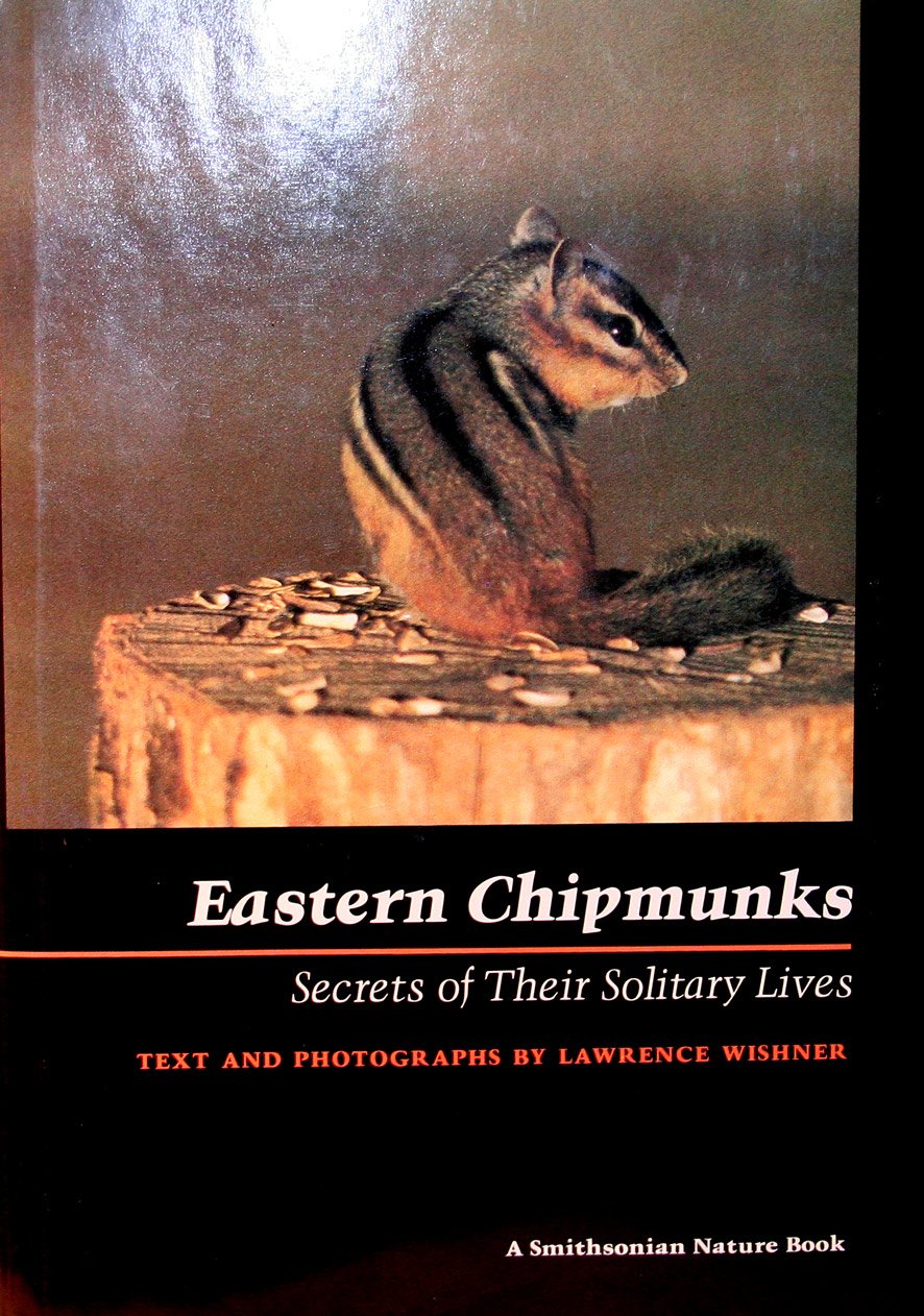 Eastern Chipmunks: Secrets of Their Solitary Lives (Hardcover)