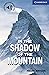 In the Shadow of the Mountain Level 5