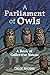 A Parliament of Owls by Chloe Rhodes