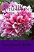 A Self Attunement: Maha Moksha Healing by Darshan Baba (2009-12-15)