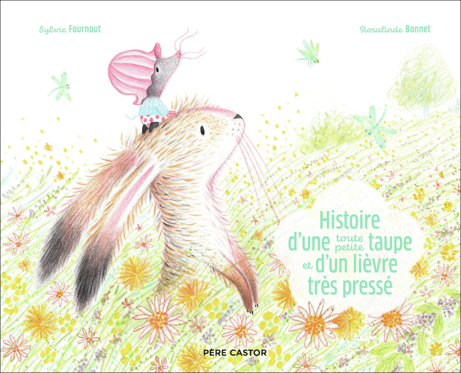 Histoire d'une toute petite taupe et d'un lièvre très pressé (Paperback)