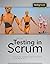 Testing in Scrum: A Guide for Software Quality Assurance in the Agile World (Rocky Nook Computing) by Tilo Linz (7-Apr-2014) Paperback