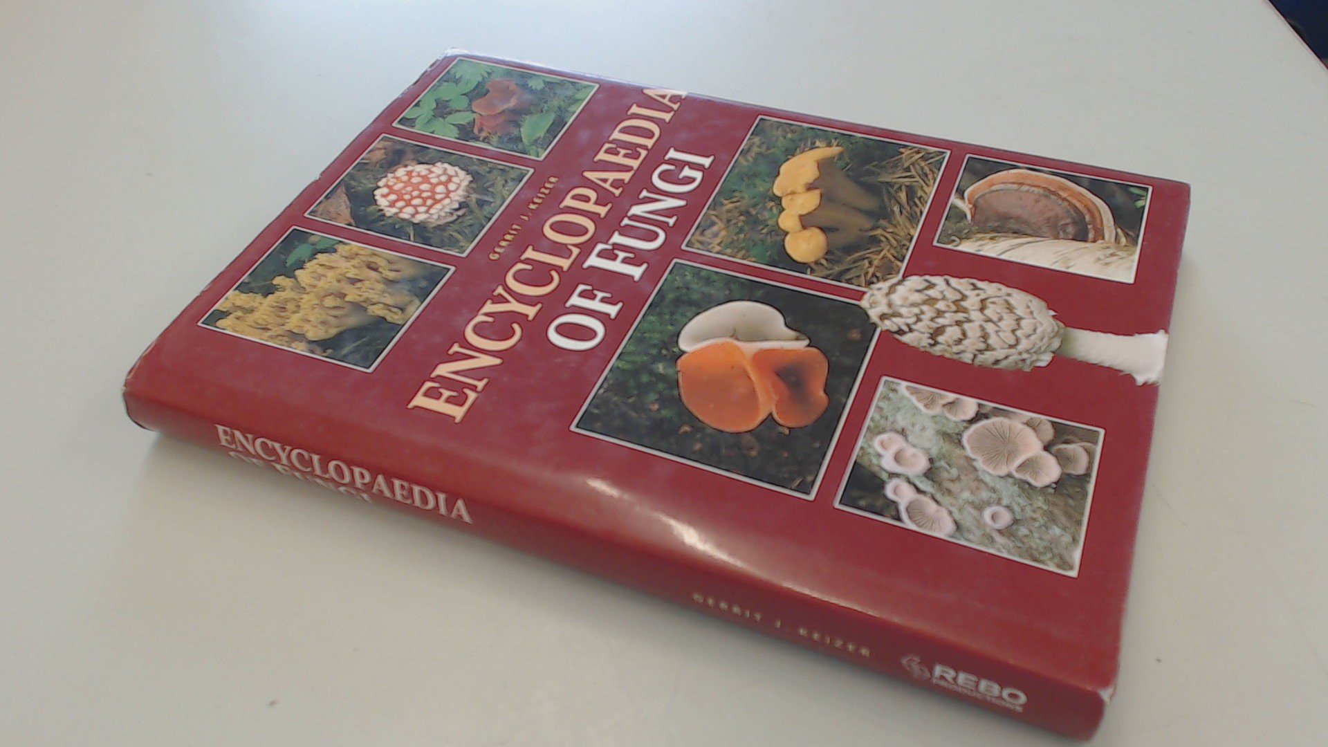 Encyclopedia of Fungi (Hardcover)